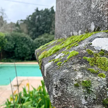 Elemergia *